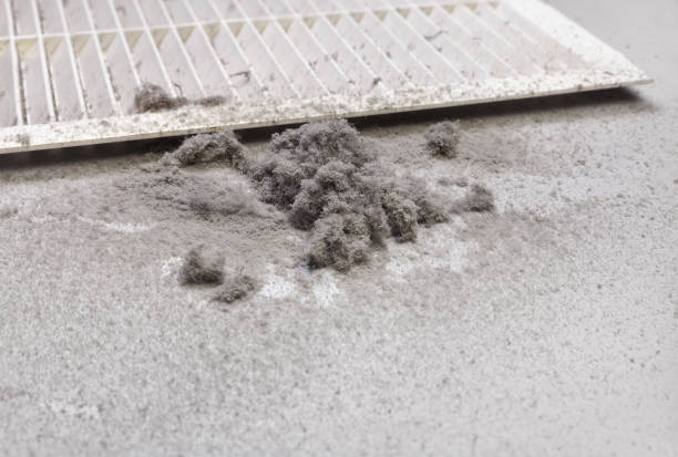 Best Ventilation Cleaning Services  in Wells, MN