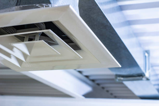 Best HVAC Air Duct Cleaning  in Wells, MN
