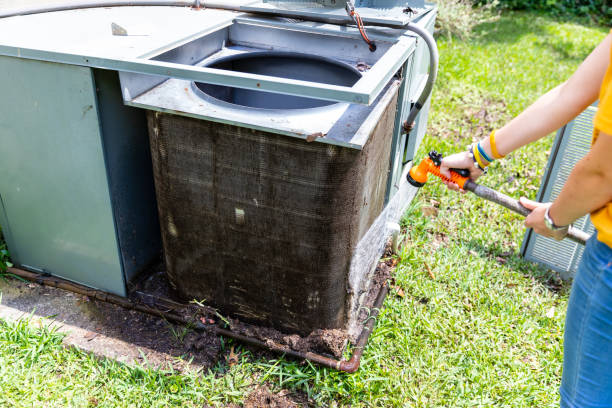 Best Professional Duct Cleaning Services  in Wells, MN