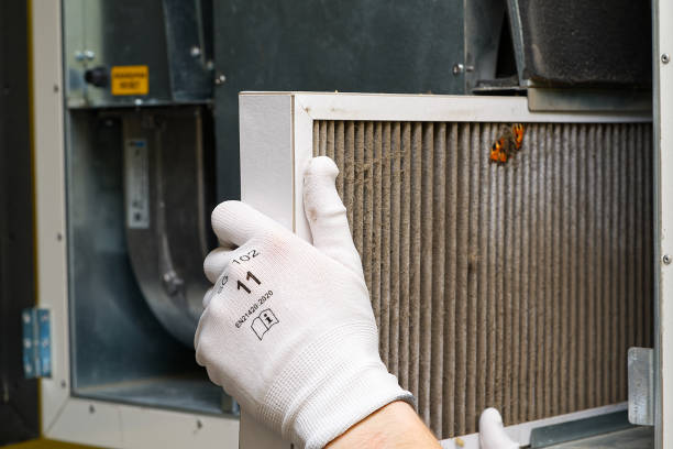 Best Affordable HVAC Duct Cleaning  in Wells, MN