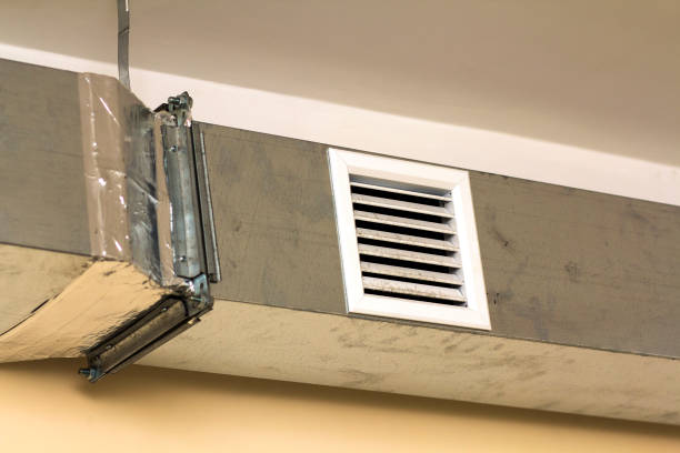 Best Dryer Vent Cleaning Services  in Wells, MN